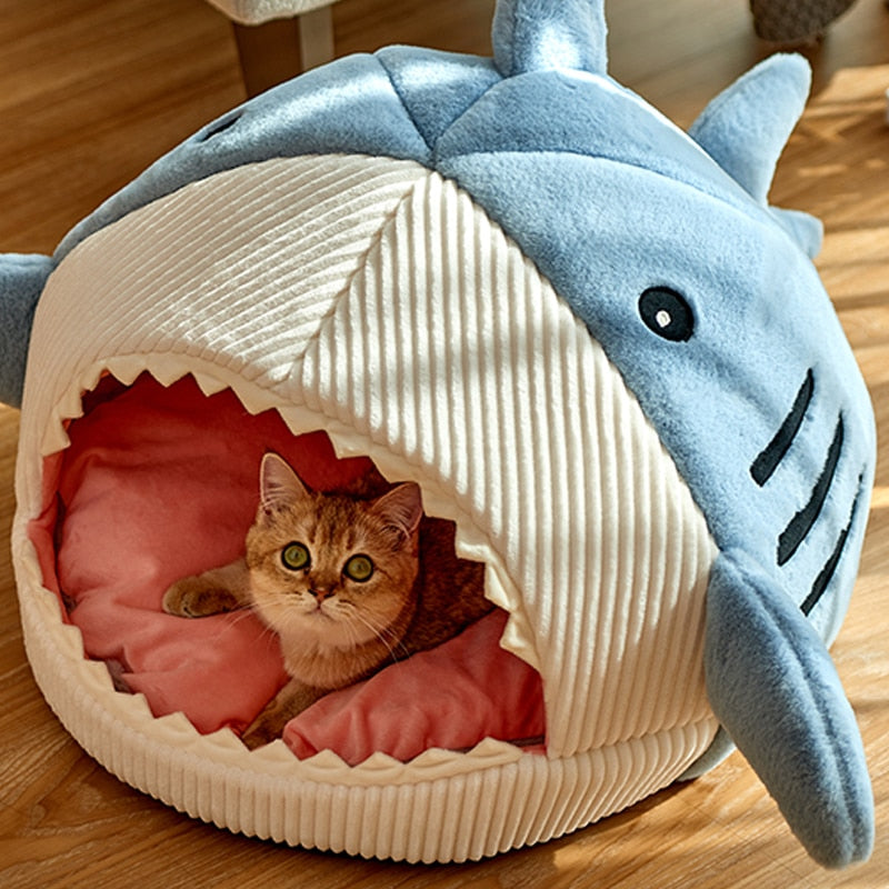 SHARK BED