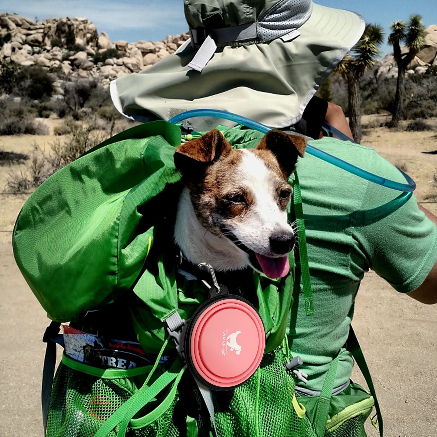 Collapsible Dog Bowls for Travel
