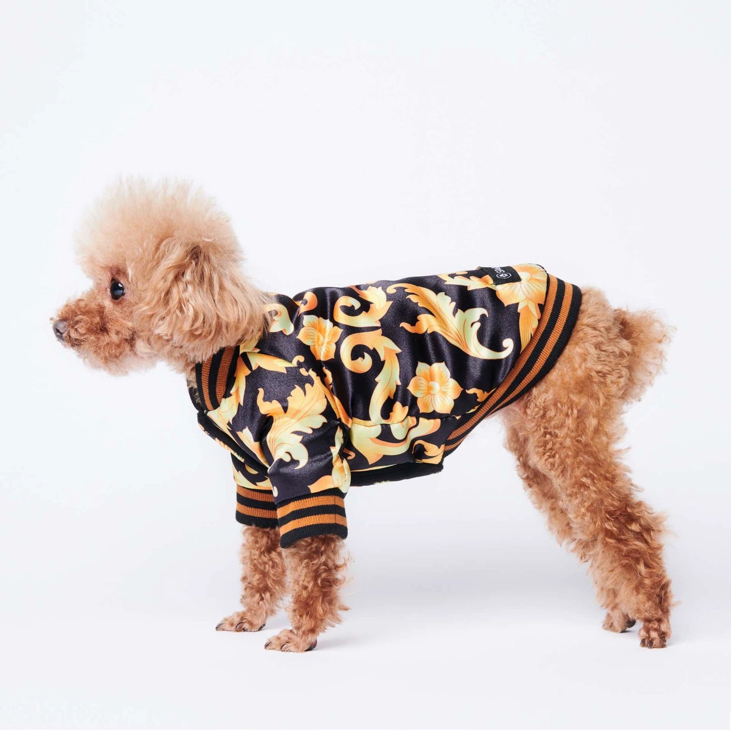 New Warm tide brand dog coat