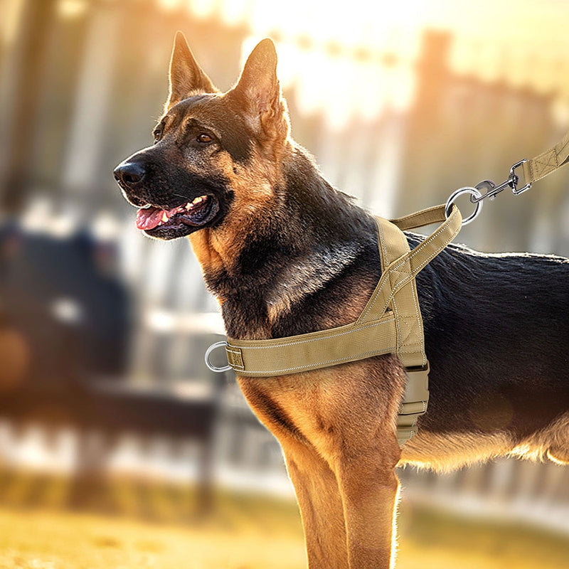 No Pull Dog Harness Soft Padded Dog