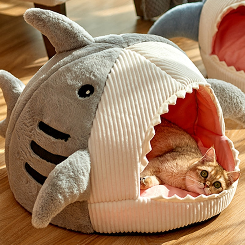 SHARK BED