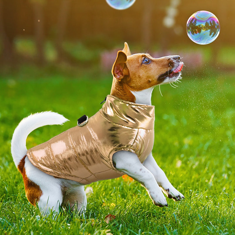 Clothes for dogs waterproof  puppy pet jacket