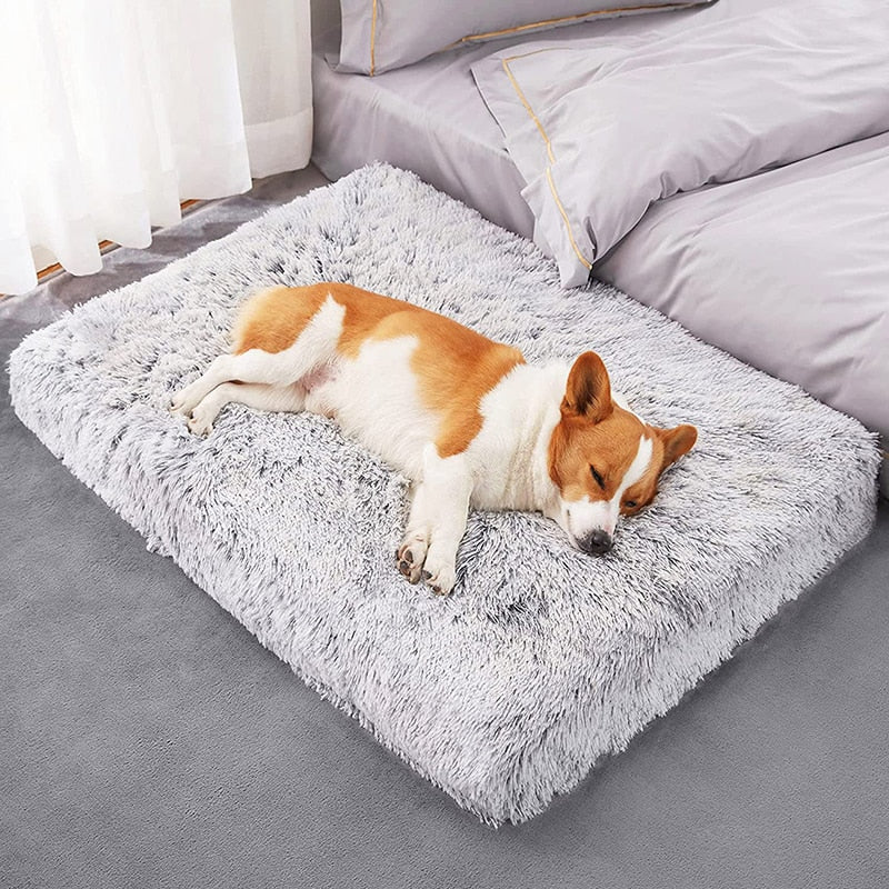 Plush Removable for Cleaning Puppy Cushion Super Soft Claming Beds