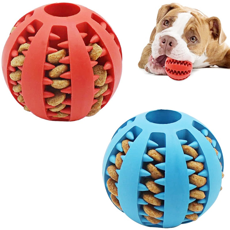 FUNY FOOD BALL