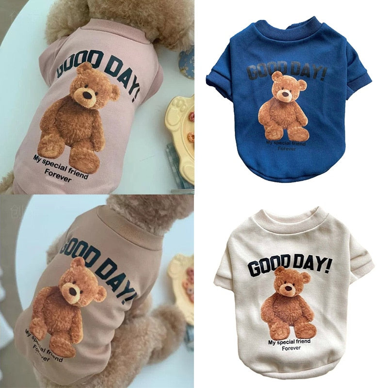 Winter puppy hoodie clothing cartoon bear