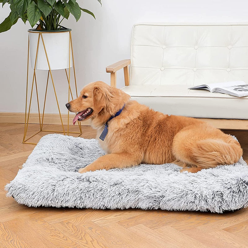 Plush Removable for Cleaning Puppy Cushion Super Soft Claming Beds