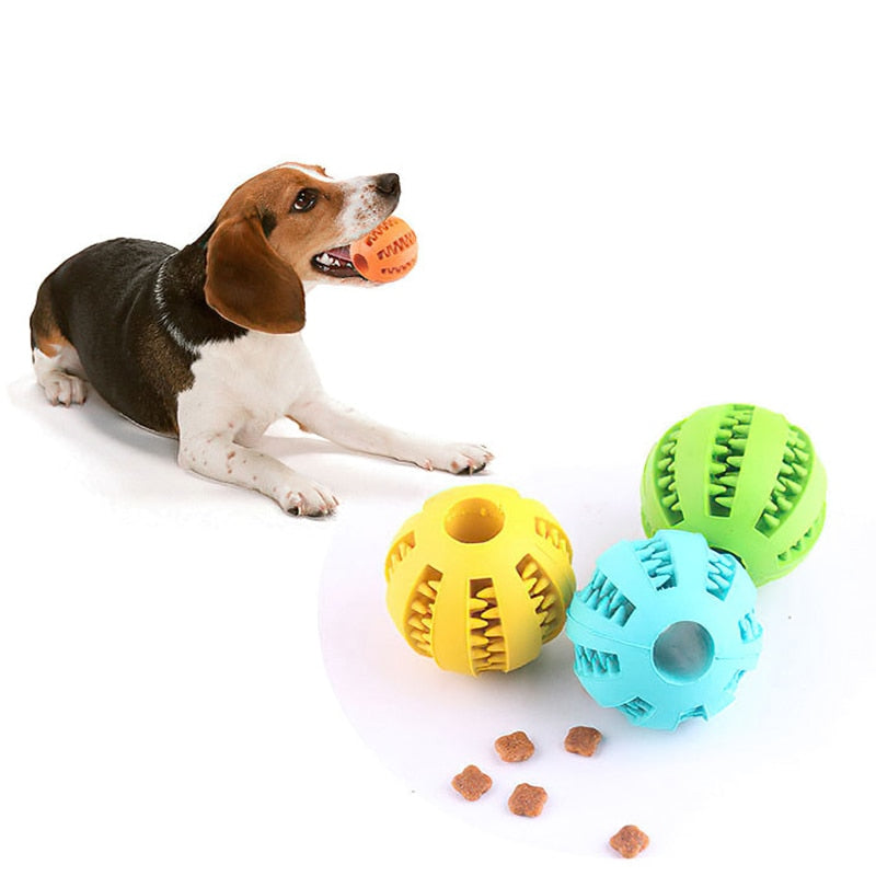 FUNY FOOD BALL