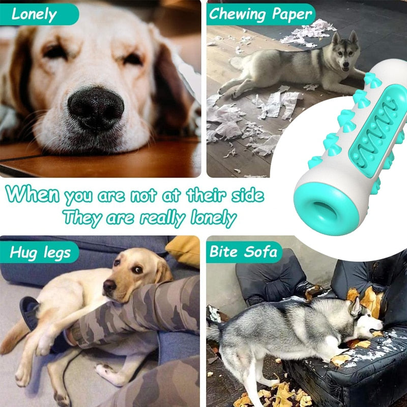 Dog molar toothbrush toys chew cleaning teeth