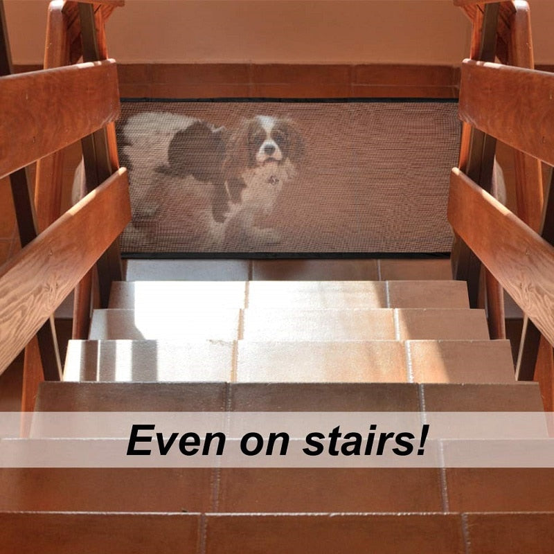 Dog fence indoor isolation