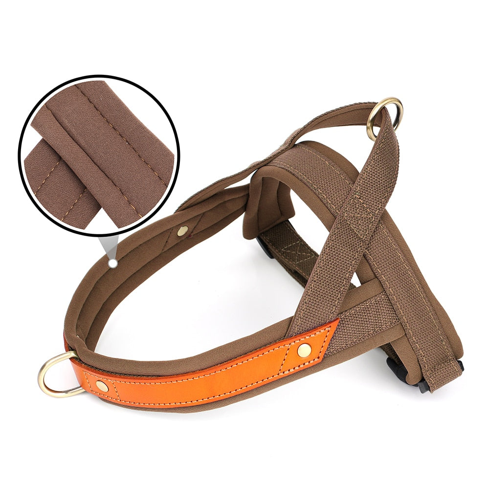 No Pull Dog Harness Soft Padded Dog