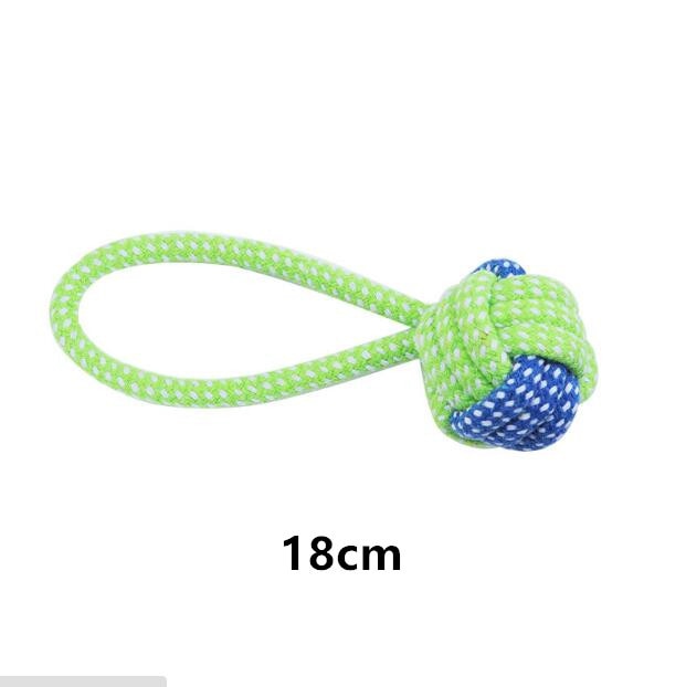 PUSH BALL TOY FOR DOGS