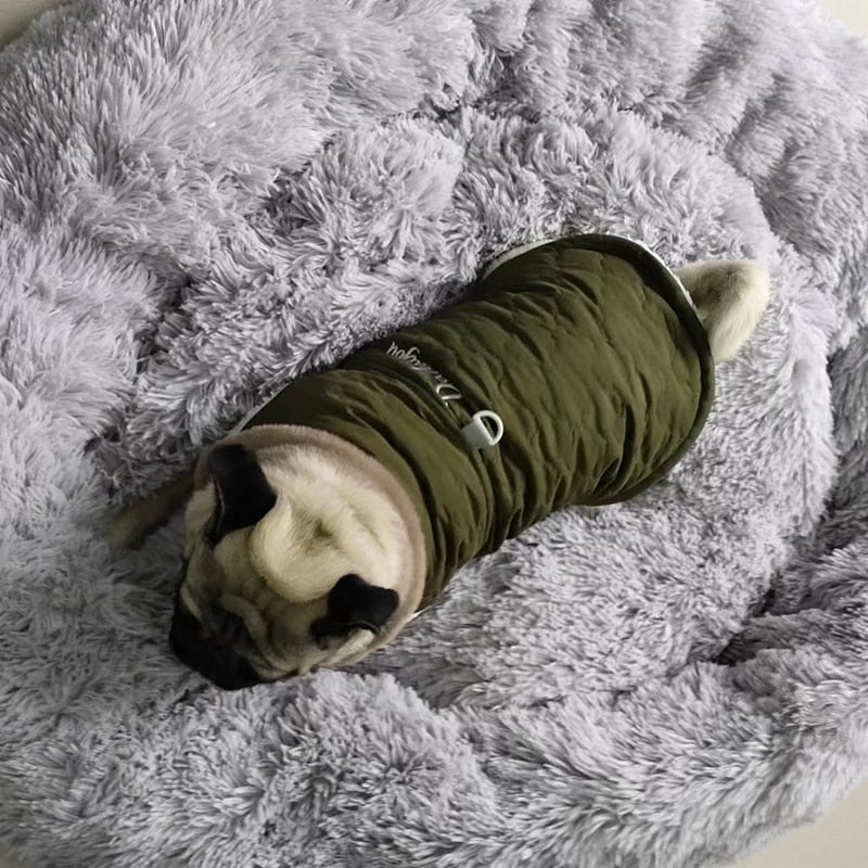 Waterproof Fur Collar Dog Jacket Winter