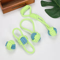 PUSH BALL TOY FOR DOGS