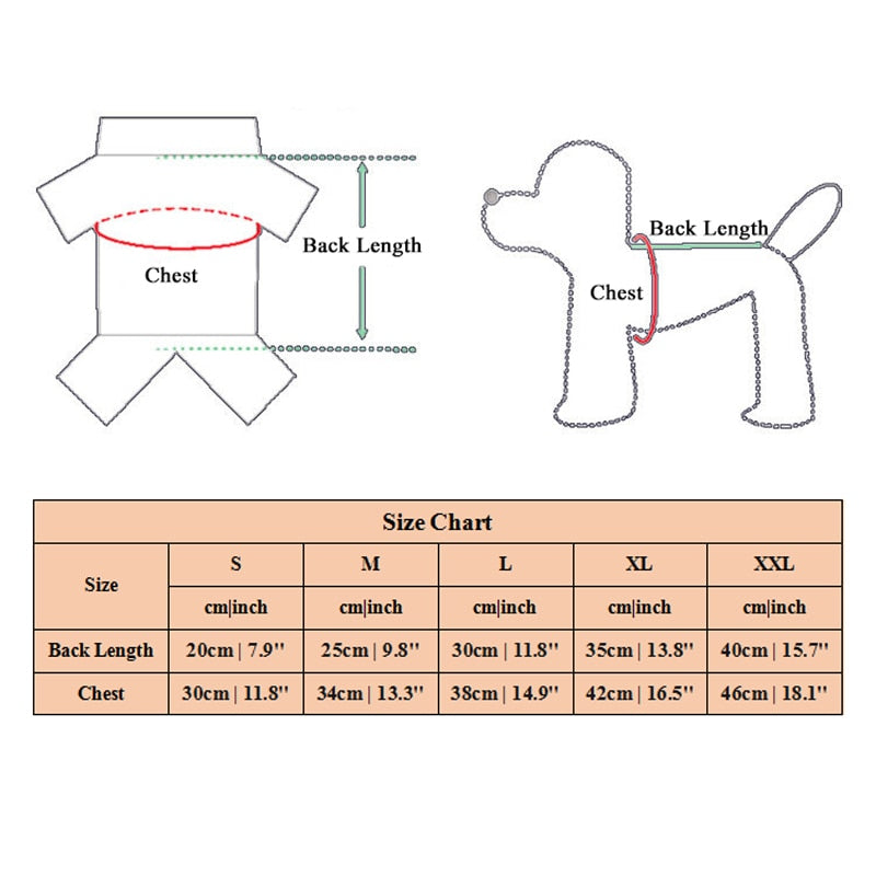 Winter puppy hoodie clothing cartoon bear