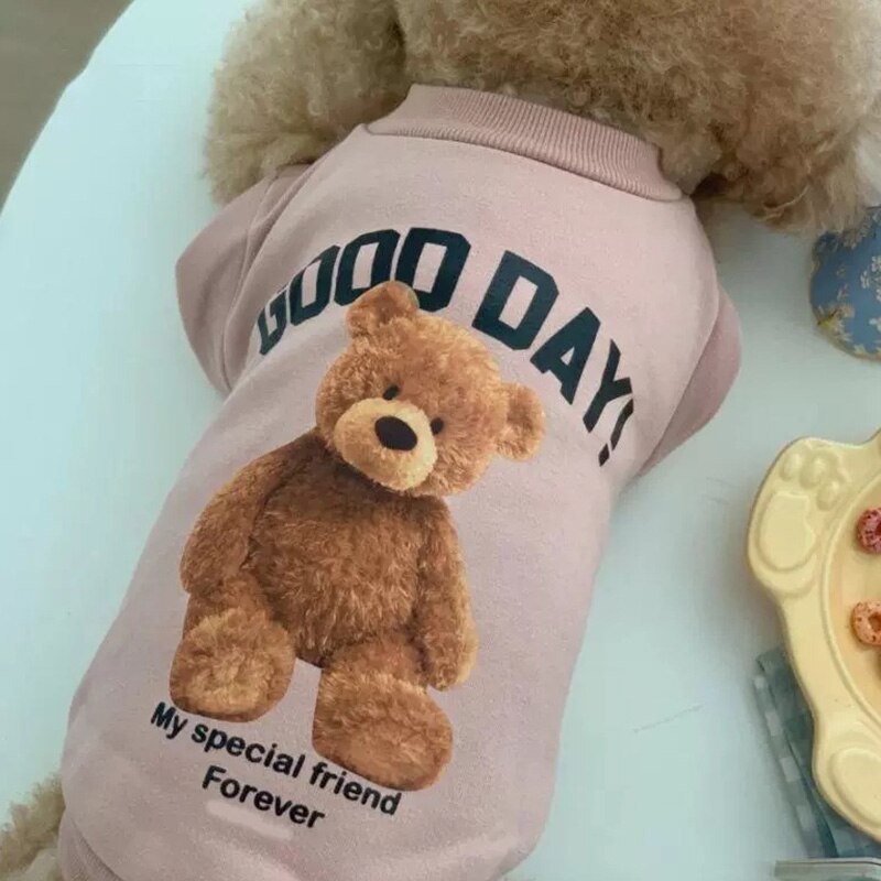 Winter puppy hoodie clothing cartoon bear