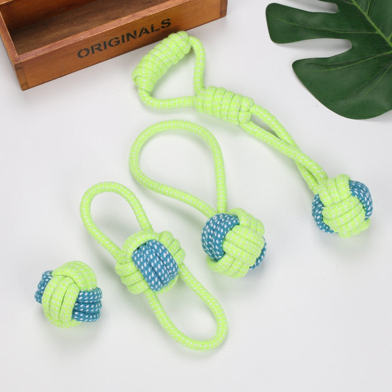 PUSH BALL TOY FOR DOGS