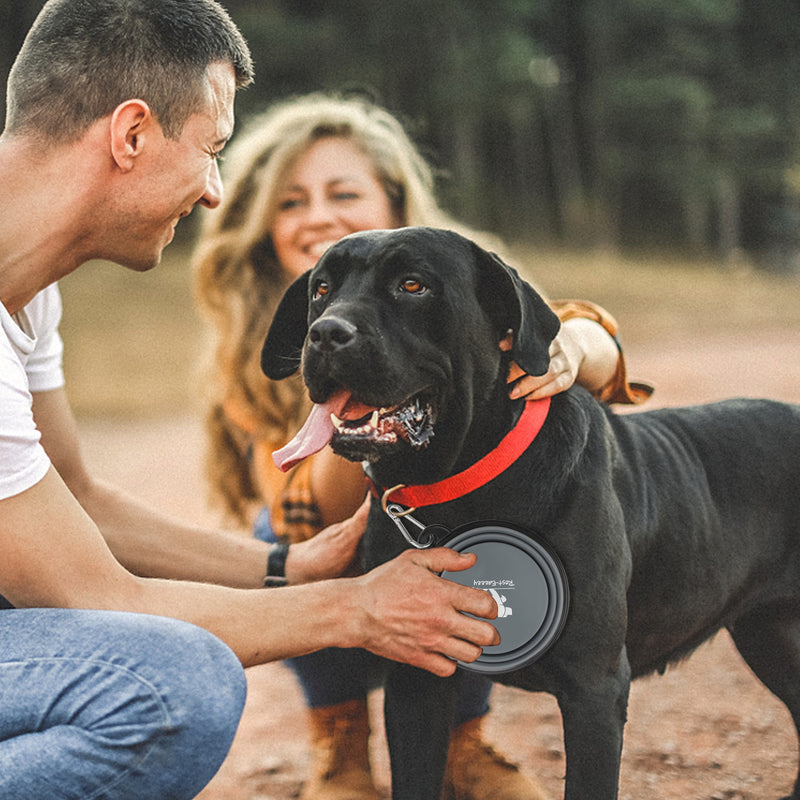 Collapsible Dog Bowls for Travel