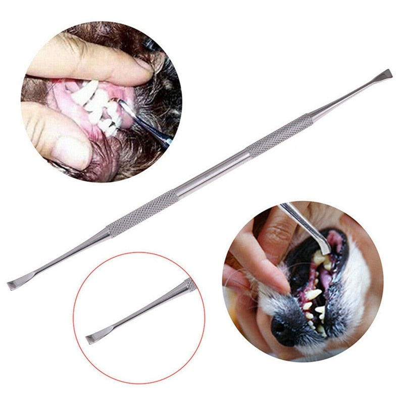 Pets Teeth Cleaning Tools Dogs Cats