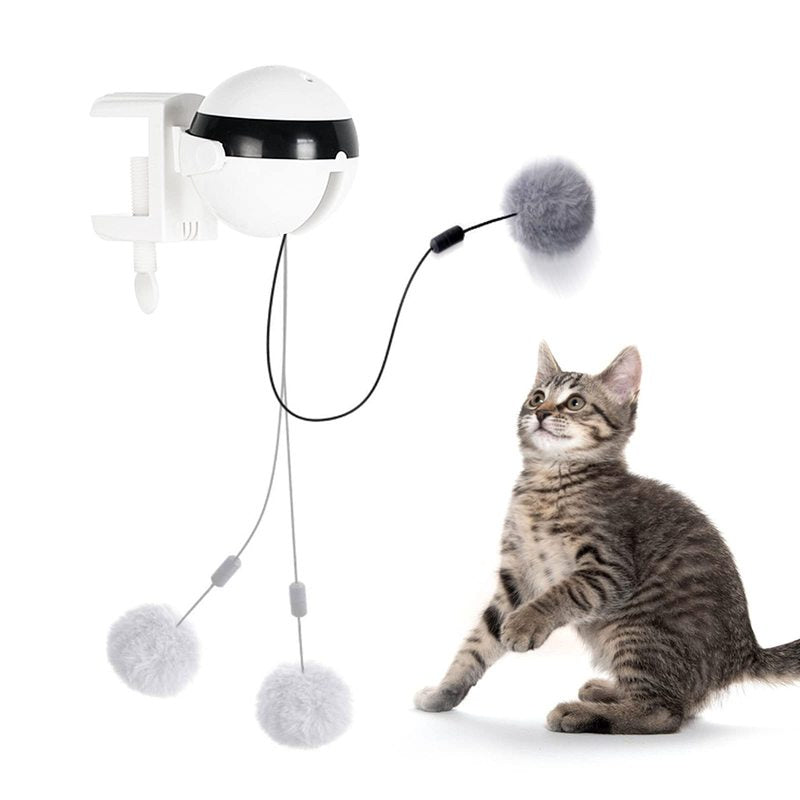 ROBO CAT