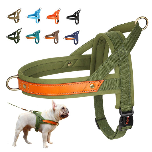 No Pull Dog Harness Soft Padded Dog