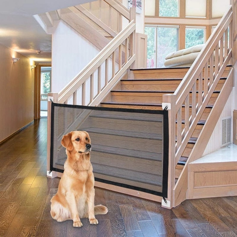 Dog fence indoor isolation